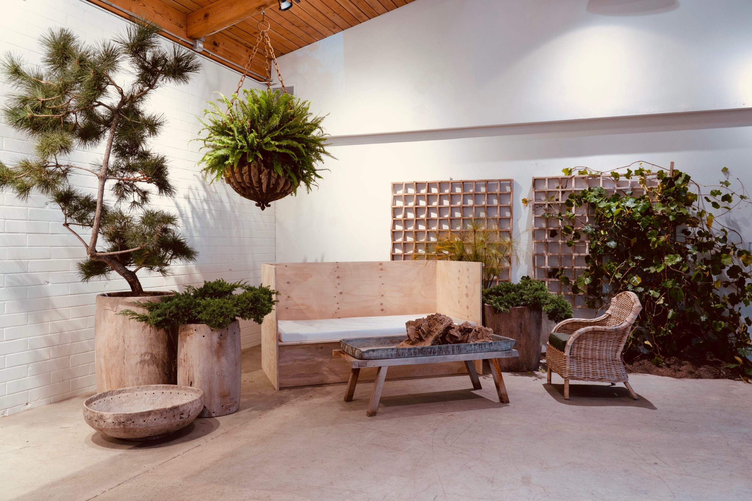 A serene indoor garden lounge featuring natural materials and greenery. The space includes a light wood bench with a cushion, a rustic wooden coffee table with natural wood accents, and a wicker armchair. Surrounding the seating area are tall planters filled with pines, ferns, and trailing vines, while a hanging fern adds lush texture overhead. The white brick walls and exposed wood ceiling beams create a warm, minimalist backdrop that highlights the organic design elements.
