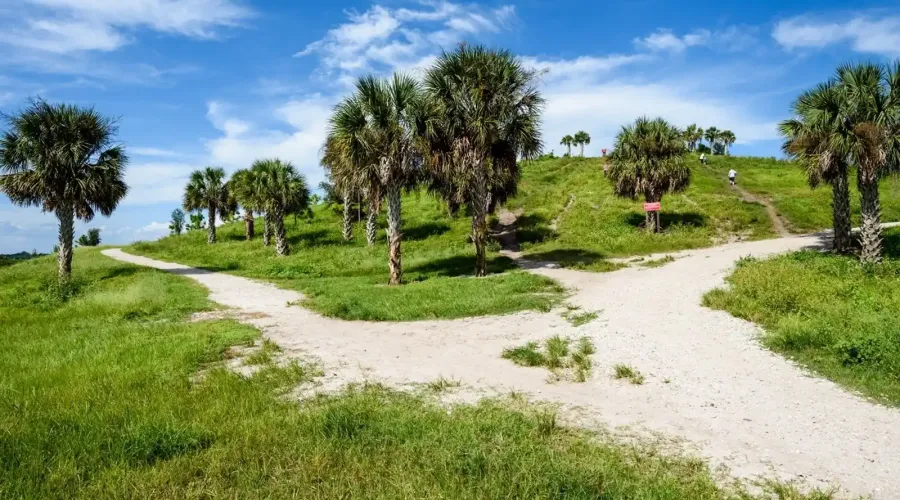 6765 Island Creek Rd, Sarasota, Florida, 34240, United States, 3 Bedrooms Bedrooms, 6 Rooms Rooms,2 BathroomsBathrooms,Residential,For Sale,Island Creek,1732493