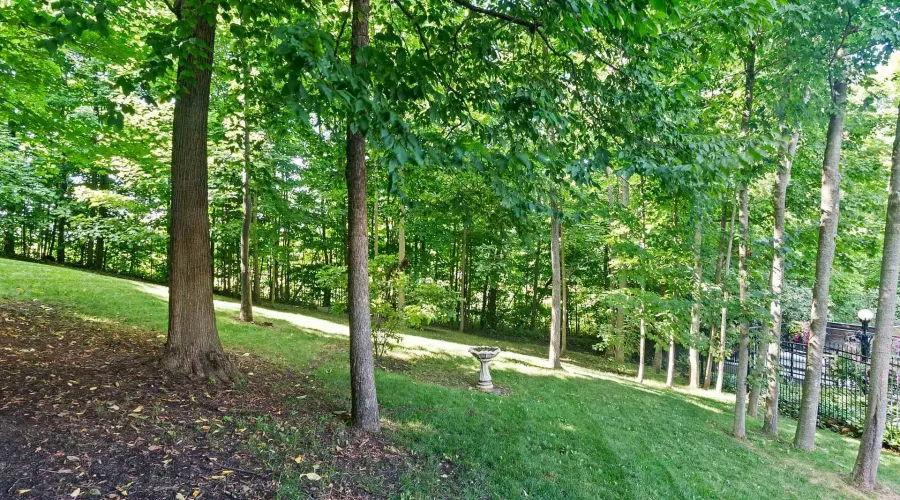 10140 Pineview Trail, Milton, Ontario, L0P 1B0, Canada, 3 Bedrooms Bedrooms, ,8 BathroomsBathrooms,Residential,For Sale,10140 Pineview Trail,1933911