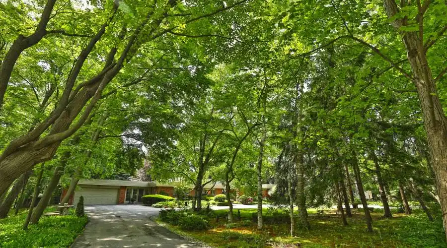 306 Lakeshore Road West,Oakville,L6K 1G1,Canada,4 Bedrooms Bedrooms,16 Rooms Rooms,4 BathroomsBathrooms,Residential,Lakeshore Road West,250627